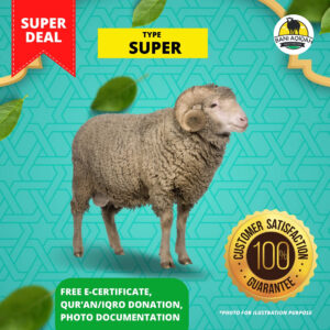 Super Sheep